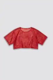 Red Lilac Cover-Up Mesh Top 4
