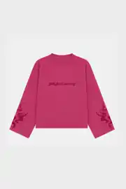 Phoenix Longsleeve 1